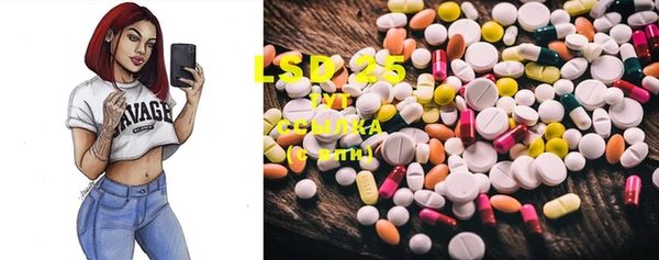 spice Алзамай